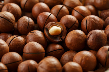 Texture of organic macadamia nut fresh natural fruit shelled one nut in full frame close-up view
