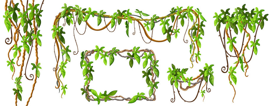 Fototapeta Liana branches and tropical leaves. Set game elements plants of jungle and cartoon frames with space for text. Isolated vector illustration on white background.