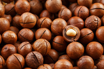 Texture of organic macadamia nut fresh natural fruit shelled one nut in full frame close-up view