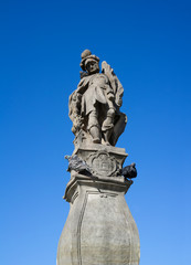 Statue of Saint Florian, Square ( Rynek ), Cieszyn, Poland, Silesia, Europe - historical sculpture of christian person made in baroque style. Pigeons are on monument. 