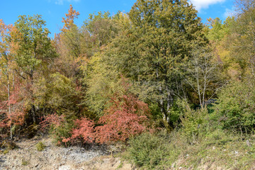 View over the surroundings hills and mountains during autumn, Macedonia