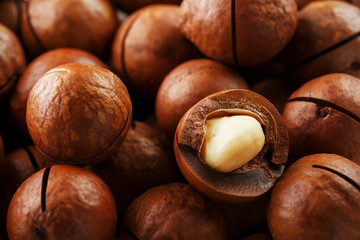 Texture of organic macadamia nut fresh natural fruit shelled one nut in full frame close-up view