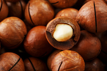 Texture of organic macadamia nut fresh natural fruit shelled one nut in full frame close-up view