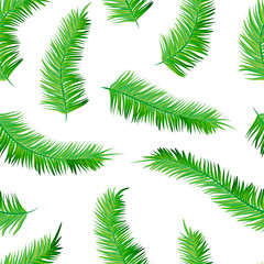 Seamless palm tree leaves pattern