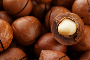 Texture of organic macadamia nut fresh natural fruit shelled one nut in full frame close-up view