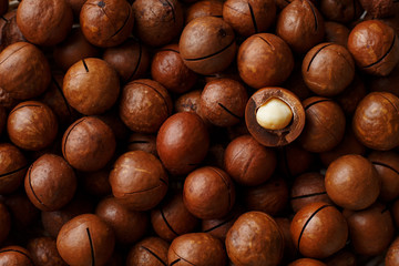 Texture of organic macadamia nut fresh natural fruit shelled one nut in full frame close-up view