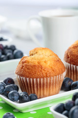 Muffins and blueberry on white table.