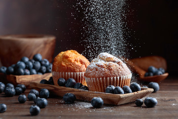 Muffins and blueberries sprinkled with powdered sugar.