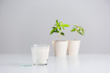 Effervescent Tablet in glass of water