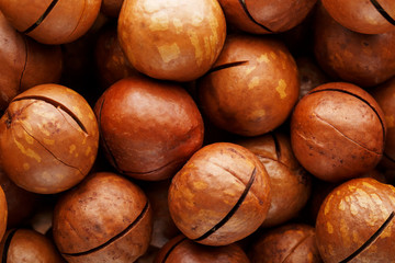 Texture of organic macadamia walnut fresh natural fruit in full frame close-up view