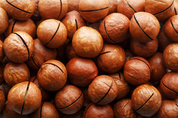 Texture of organic macadamia walnut fresh natural fruit in full frame close-up view