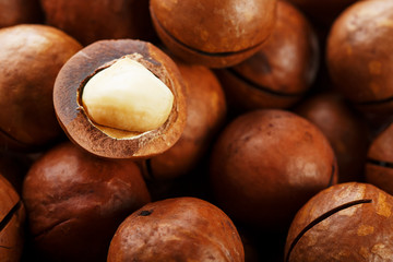 Texture of organic macadamia nut fresh natural fruit shelled one nut in full frame close-up view