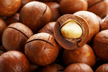 Texture of organic macadamia nut fresh natural fruit shelled one nut in full frame close-up view