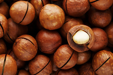Texture of organic macadamia nut fresh natural fruit shelled one nut in full frame close-up view
