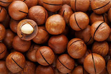 Texture of organic macadamia nut fresh natural fruit shelled one nut in full frame close-up view