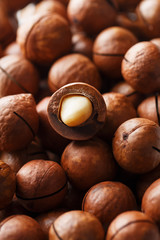 Texture of organic macadamia nut fresh natural fruit shelled one nut in full frame close-up view