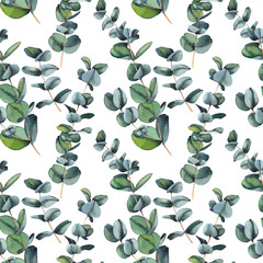 Seamless pattern with green eucalyptus leaves. Watercolor on white background.