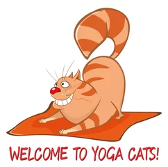 Rolgordijnen Essentiële yogahoudingen voor katten. Vectorillustratie van een schattige kat. Stripfiguur © liusa