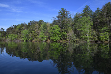 "Spring at the Lake" spring colors reflected with blue sky unretouched photo Zen Duder Lake James Collection
