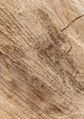 close up of a wooden texture
