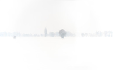 Panoramic view of snowy landscape with trees.