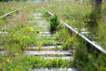 summer rain on the railway in the mountains