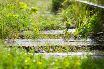 summer rain on the railway in the mountains