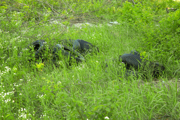 Weathered rubber tires in a green grass. Nature pollution concept