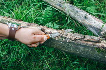 Guy with elegant men's watch is cutting the tree with old rusty knife. Survival in the wild nature. Green grass in the summer forest.