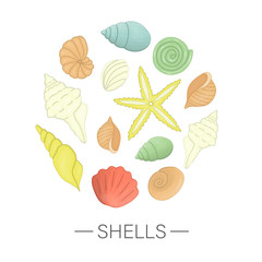 Vector  colored set of sea shells framed in circle isolated on white background . Colorful marine collection. Underwater illustration