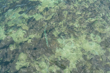 Fototapeta na wymiar Shallow sea surface, see the limestone floor