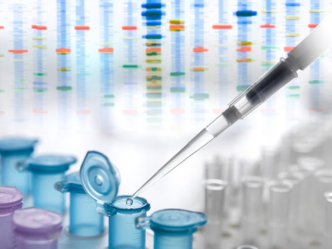 A DNA sample being pipetted into a eppendorf tube for automated analysis