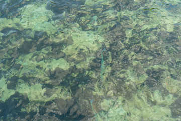 Fototapeta na wymiar Shallow sea surface, see the limestone floor