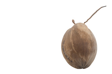 Coconut isolated on white background.Clipping path.