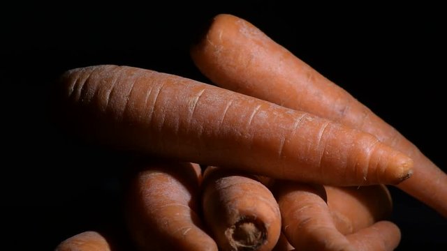 Raw carrots gyrating on black background. Daucus carota