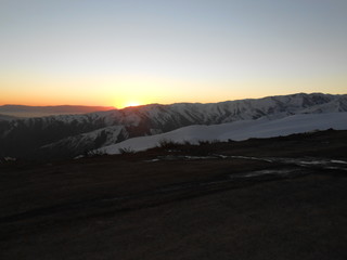 Neve