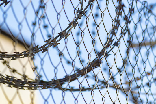 Barbed wire of a fence against blue sky
