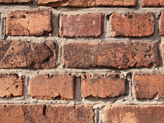Red brick background.