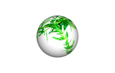 The sphere of green plants on a white background