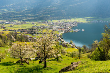 the village of Arth on Lake Zug in the central alps of Switzerland