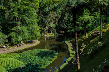 Lake on the Terra Nostra Garden, Sao Miguel Island, Azores, Portugal