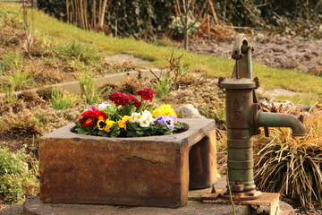 Alte Gartenpumpe mit Blumenarrangement