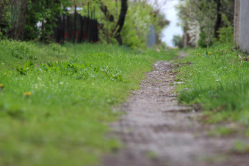 Obraz premium footpath in cloudy spring weather