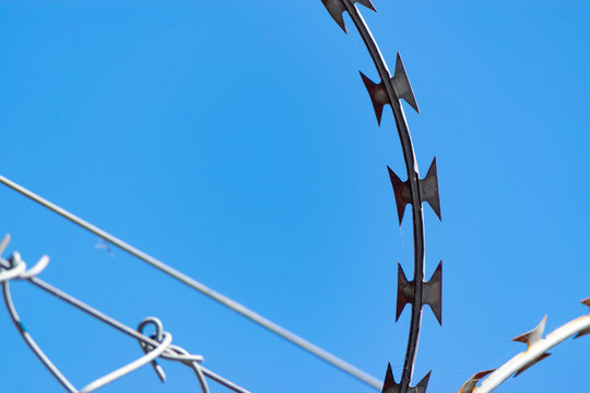 Barbed wire of a fence against blue sky