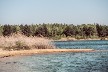 landscape with river and trees