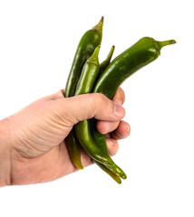 green chilli peppers in male hand. on a white background