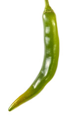 green chilli pepper. on a white background