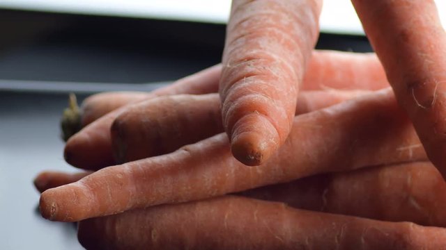 Raw natural carrots gyrating. Daucus carota