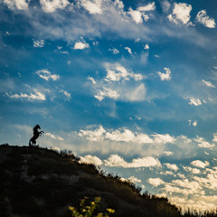 horse sculpture silhouette on top of mountain