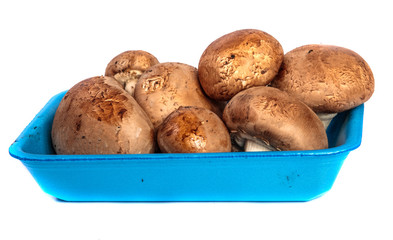 Royal large champignon in a blue plastic container. on a white background